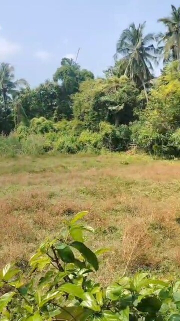 Plot Area in  Plot at Kaiparambu jn – for Sale