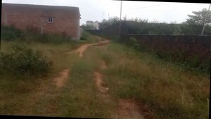 Plot Area in  Plot at Tanko – for Sale