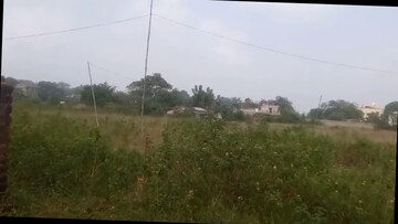 Plot Area in  Plot at Tanko – for Sale