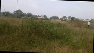 Plot Area in  Plot at Tanko – for Sale