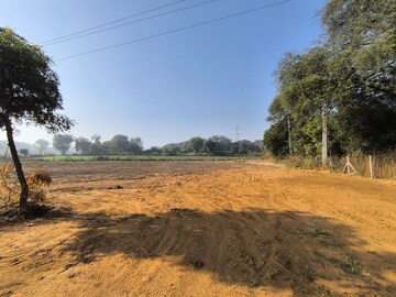 Plot Area in  Land at Pataudi – for Sale