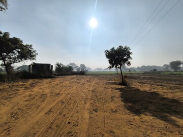 Plot Area in  Land at Pataudi – for Sale