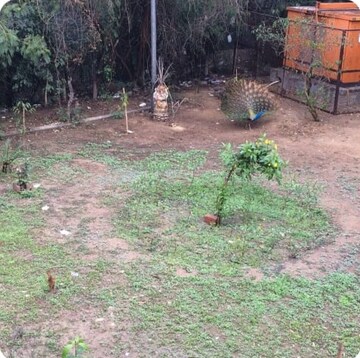 Plot Area in 2 BHK Builder Floor at Greater Kailash – for Rent