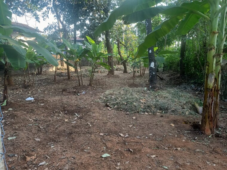 undefined, kolazhy  4792 Sq.Ft. Plot In Kolazhy Thrissur 9629302