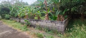 Plot Area in  Plot at Thiroor – for Sale