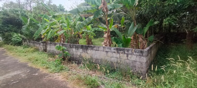 undefined, thiroor  4356 Sq.Ft. Plot In Thiroor Thrissur 9629753