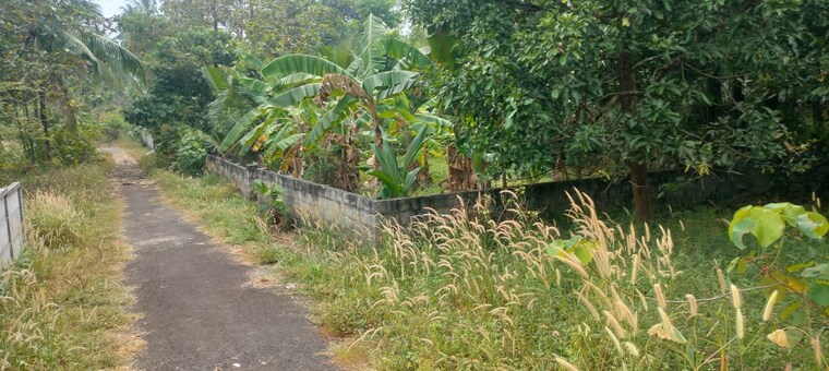 undefined, thiroor  4356 Sq.Ft. Plot In Thiroor Thrissur 9629753
