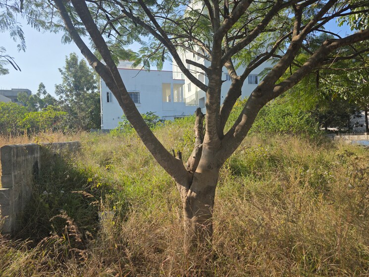 Garden, asha-township  2400 Sq.Yd. Plot In Hennur Road Bangalore 9629782