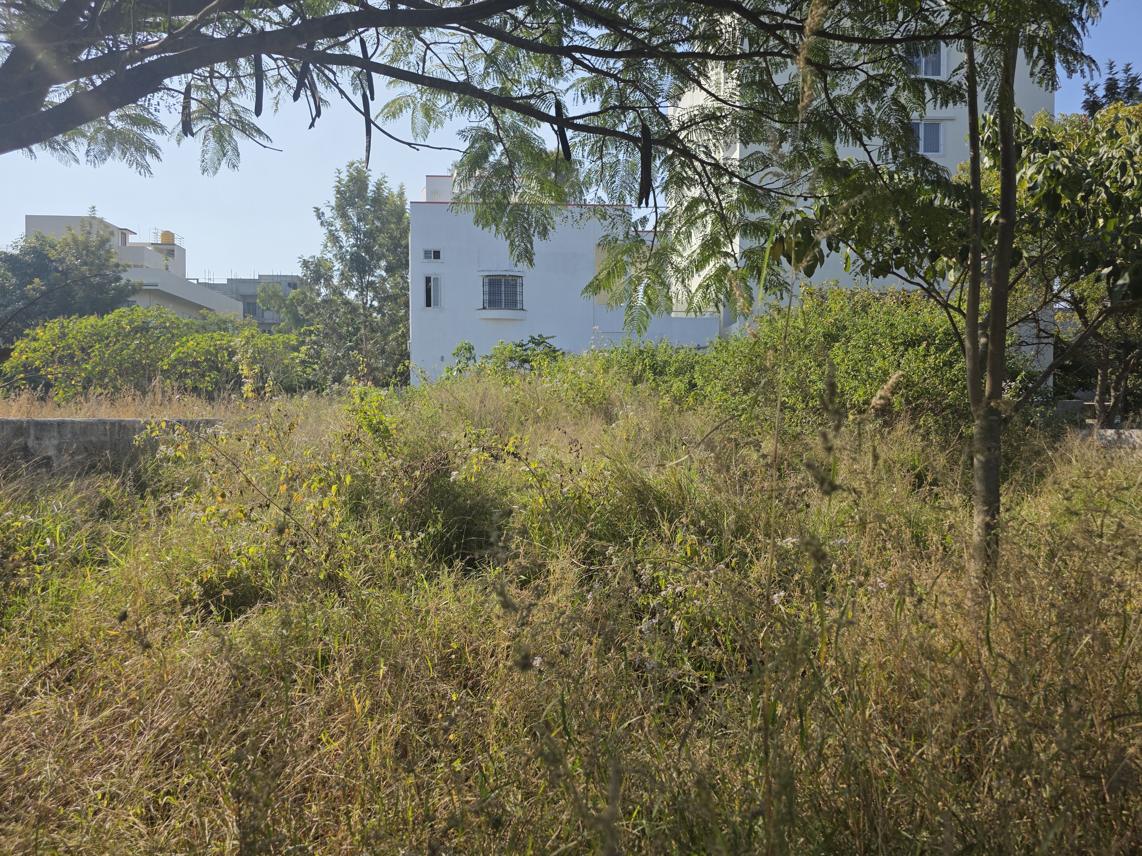 Plot For Sale in Asha Township