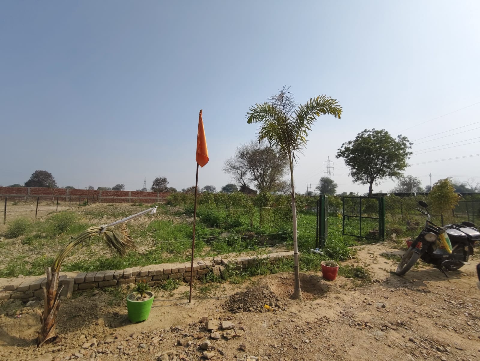 Plot For Sale in Shree Jee Cottage And Far