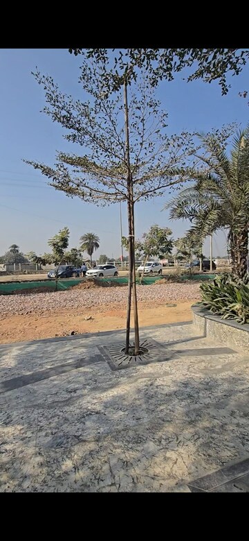 Plot Area in  Shop at Rise Retailia, Sector 1 Greater Noida – for Sale