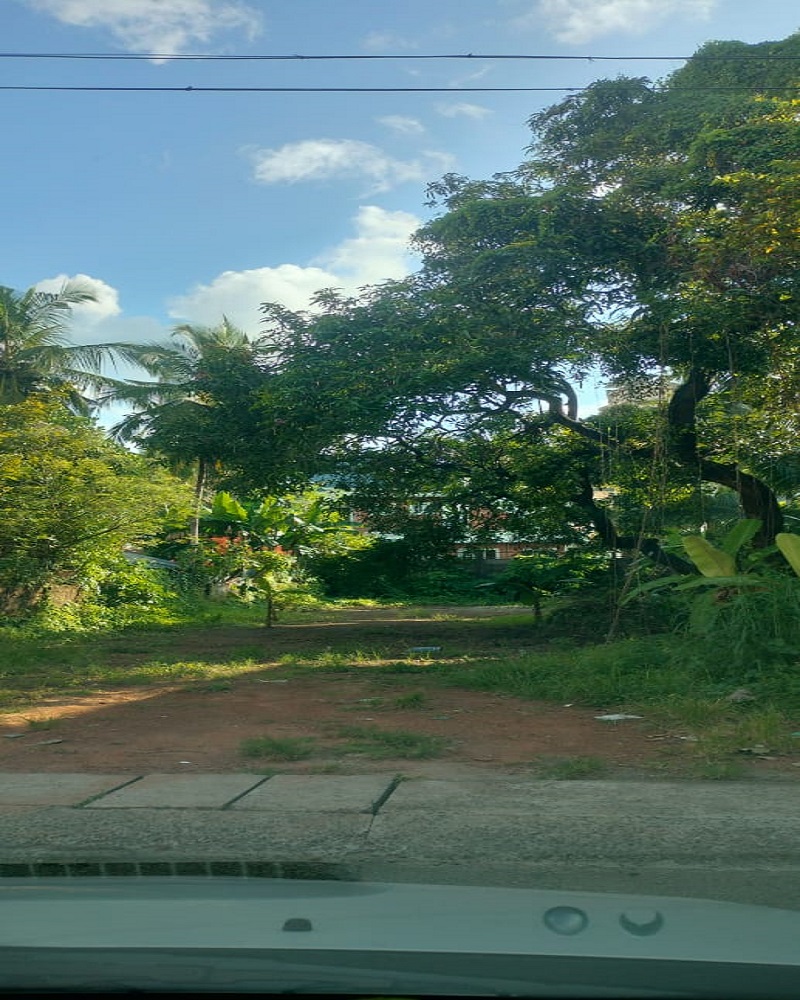 Plot For Sale in Chembukkav