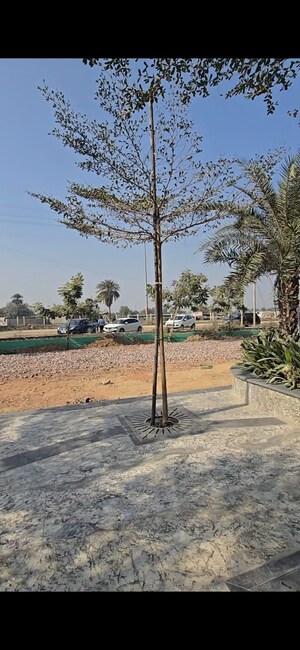 Plot Area in  Shop at Rise Retailia, Sector 1 Greater Noida – for Sale