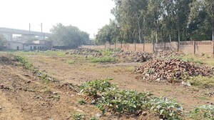  Plot For Sale in Lalru