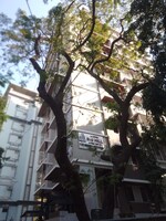 2 BHK 625 Sq.Ft. Apartment in The Green Sai Hill CHS