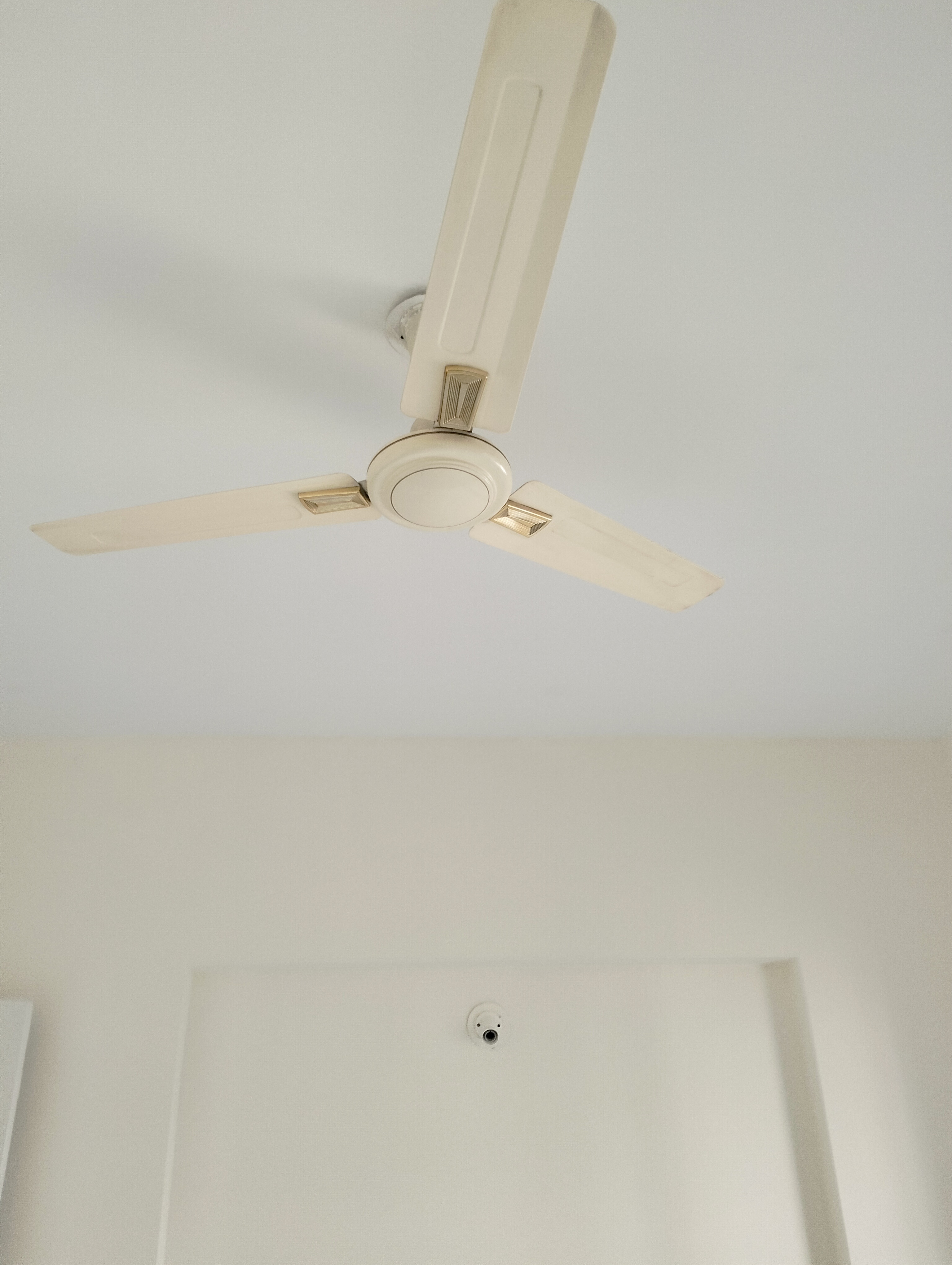 2 BHK Apartment For Sale in Dainamic Grandeur