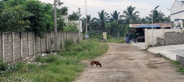 Plot Area in  Land at Neelambur – for Sale