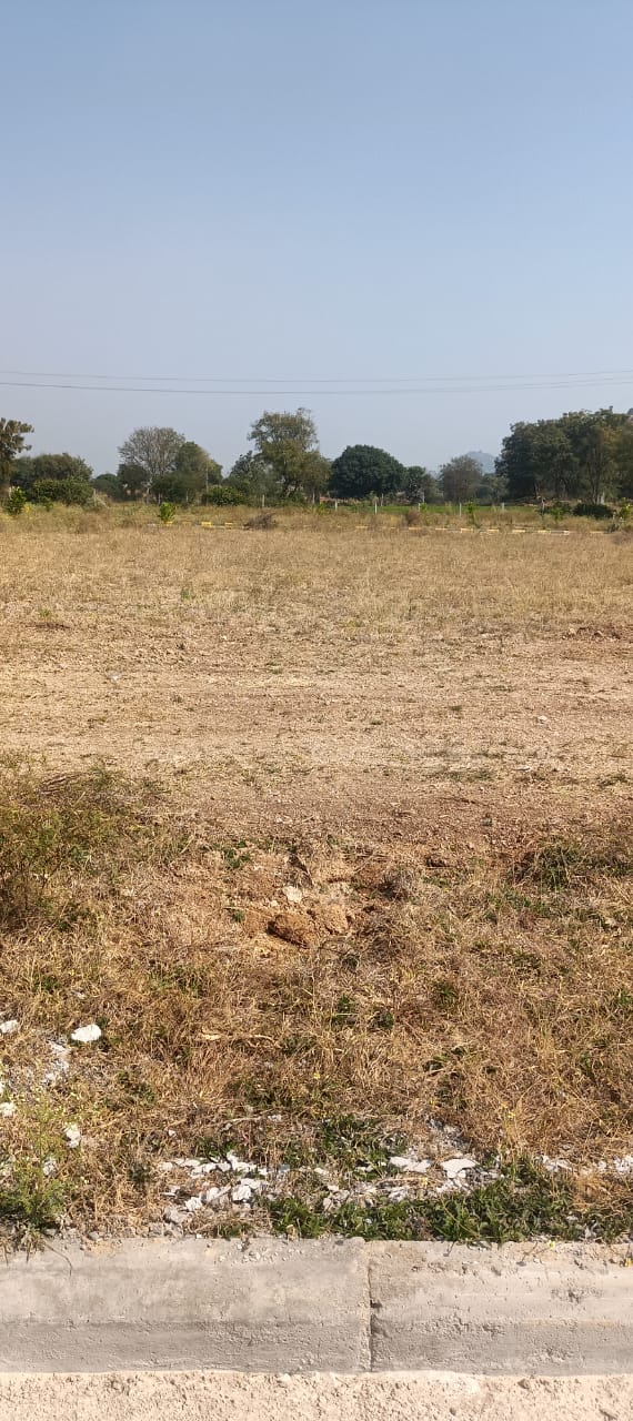 Plot For Sale in Fortune Butterfly City