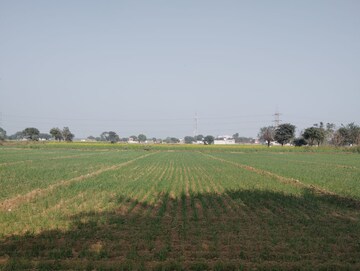 Plot Area in  Land at Pataudi – for Sale