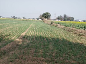 Plot Area in  Land at Pataudi – for Sale