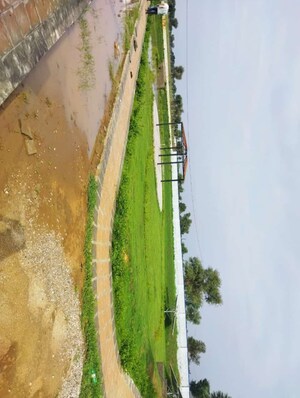  Plot – Exterior View View at Riyasat Town, Shivdaspura - for Sale