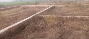 Plot Area in  Land at Motiram Adda – for Sale