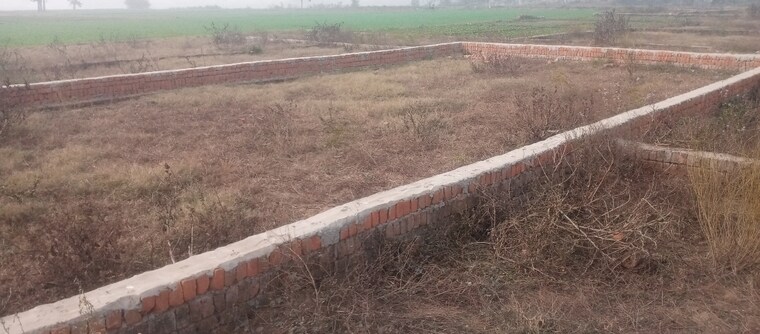 undefined, motiram adda Commercial Land 6500 Sq.Ft. In Motiram Adda Gorakhpur 9632176