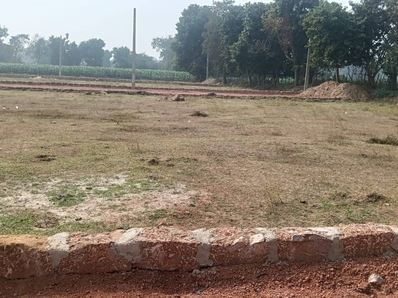 Plot For Sale in Shyam Dholera Global City
