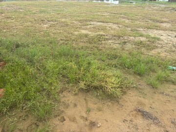  Plot For Sale in Chhata