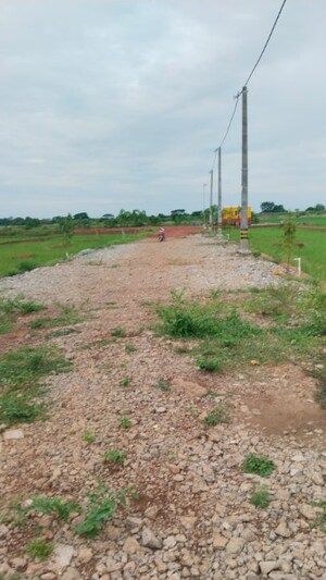 Plot Area in  Plot at Panchagaon – for Sale