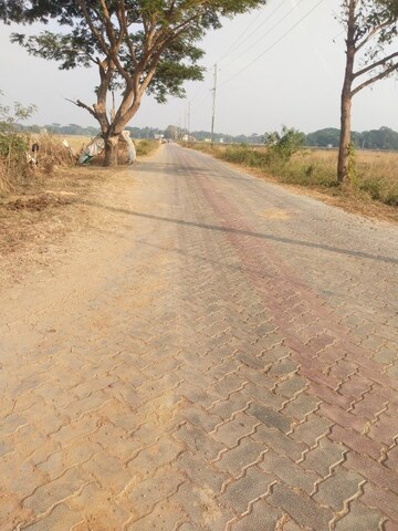 Plot Area in  Plot at Panchagaon – for Sale