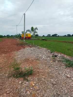 Plot Area in  Plot at Panchagaon – for Sale