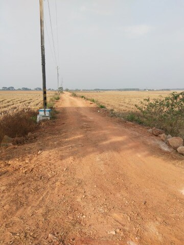 Plot Area in  Plot at Panchagaon – for Sale