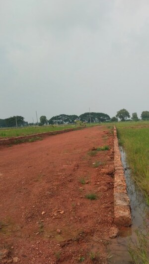 Plot Area in  Plot at Panchagaon – for Sale