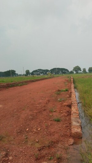  Plot For Sale in Panchagaon