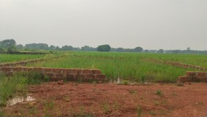 Plot Area in  Plot at Panchagaon – for Sale