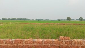 Plot Area in  Plot at Panchagaon – for Sale