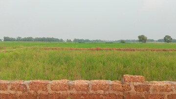 Plot Area in  Plot at Panchagaon – for Sale