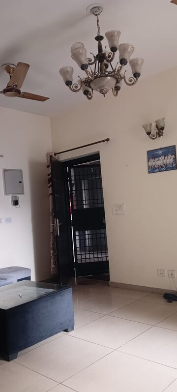 Room in 3 BHK Apartment at Homes 121, Sector 121 – for Rent