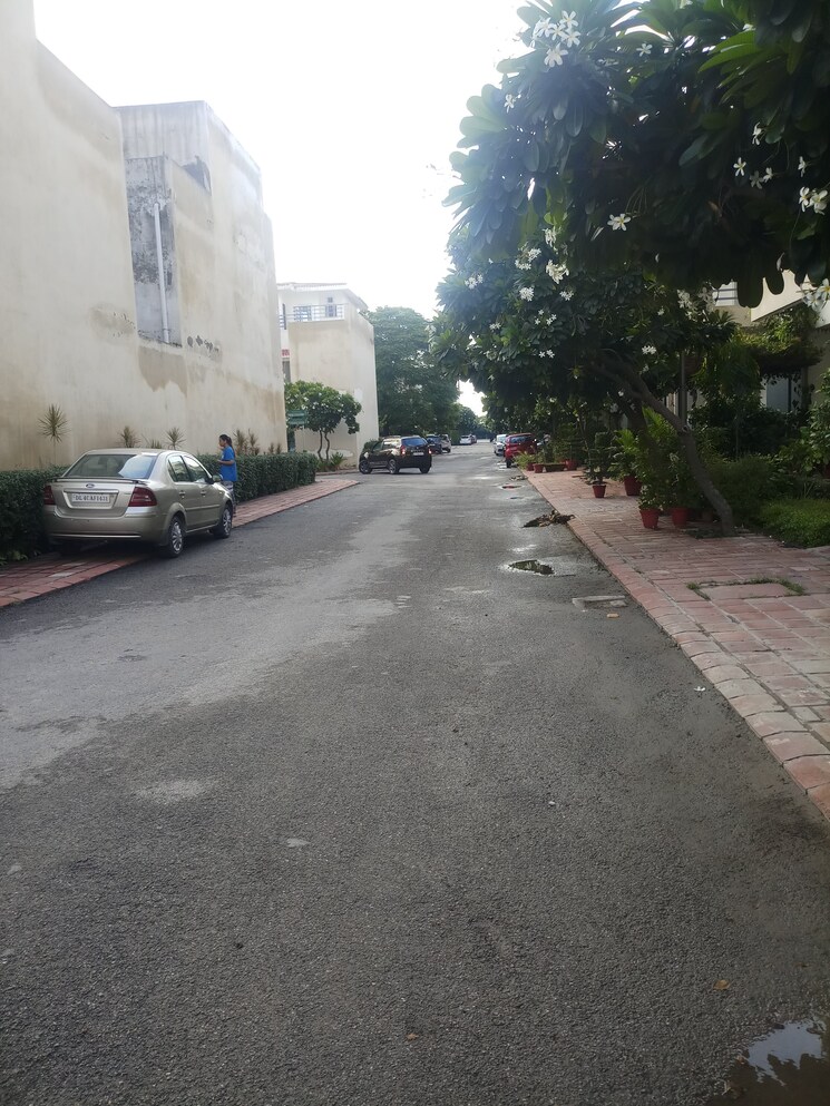 Exterior View, paramount-golfforeste-villas 3 Bedroom 1455 Sq.Ft. Villa In Zeta I Greater Noida Greater Noida 9633472