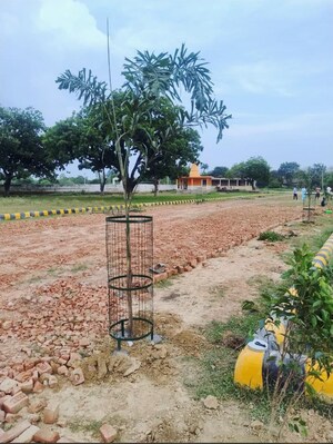 Plot Area in  Plot at Mohanlalganj – for Sale