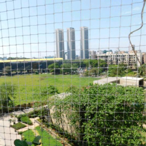Plot Area in 3.5 BHK Apartment at Kalpataru Pinnacle, Mahesh Nagar – for Sale