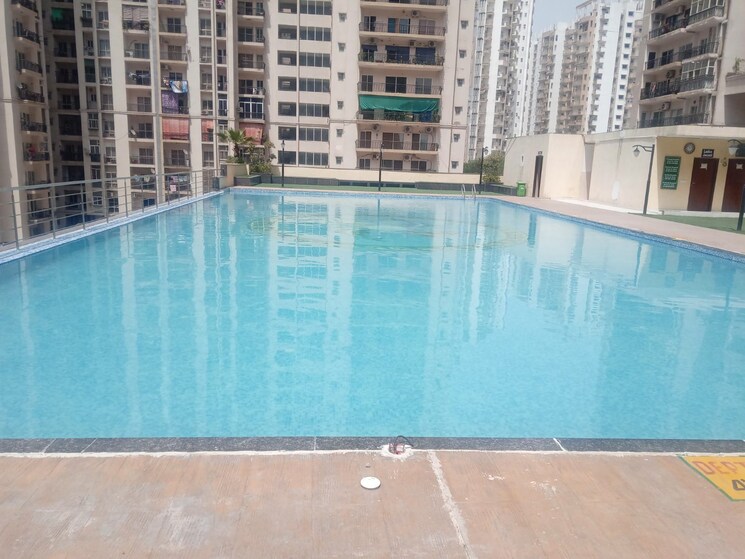 Swimming Pool, antriksh-golf-view 2.5 Bedroom 1190 Sq.Ft. Apartment In Sector 78 Noida 9634544