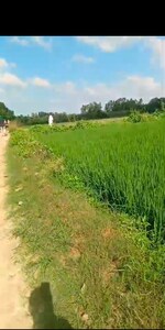 68 Sq.Yd. Plot in Bilari