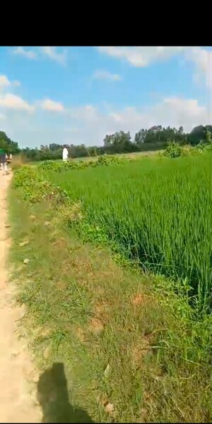  Plot For Sale in Bilari