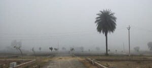 Plot Area in  Plot at Raebareli Road – for Sale