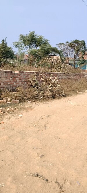 Plot Area in  Plot at Kamta – for Sale