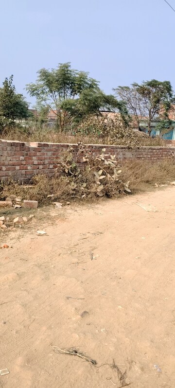 Plot Area in  Plot at Kamta – for Sale