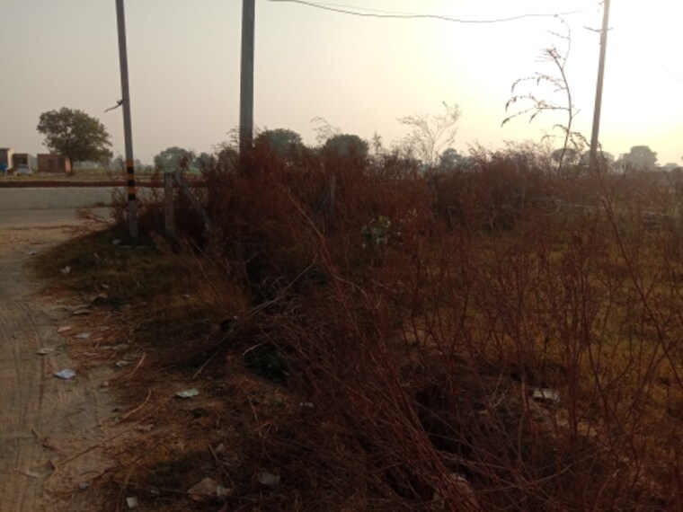 undefined, najafgarh  187 Sq.Yd. Plot In Najafgarh Delhi 9635280
