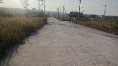 Plot For Sale in Chandapura 